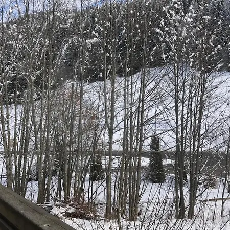 Apartment Le Retour Aux Neiges - Les Gets